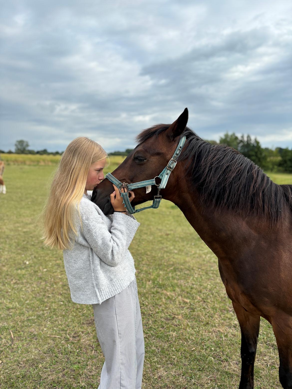 New Forest Athos billede 7