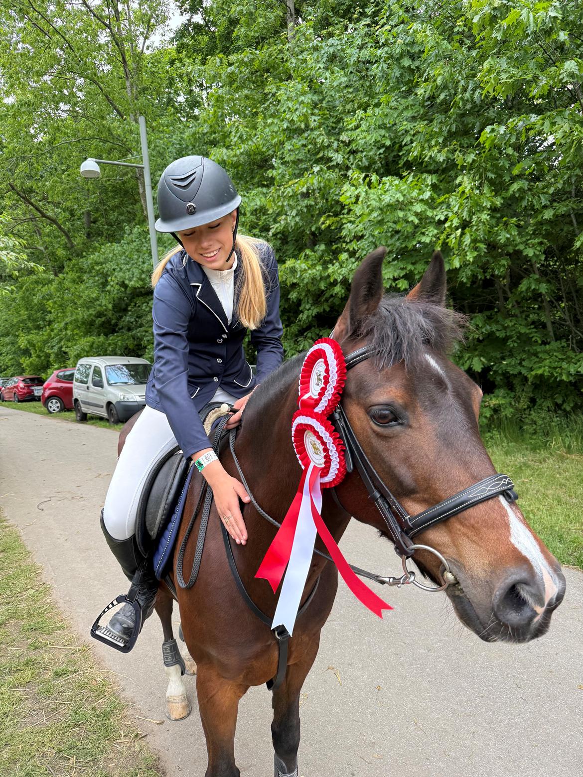 New Forest Athos billede 8