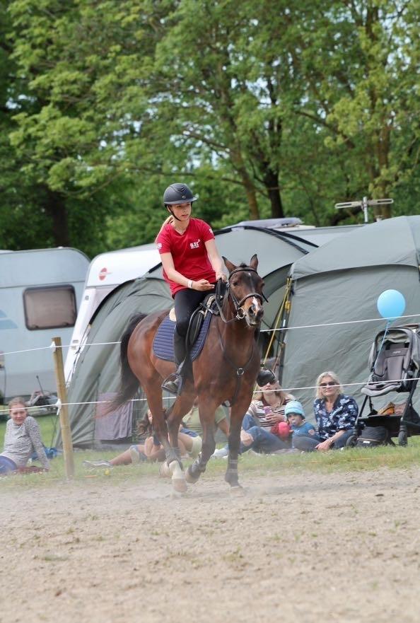 New Forest Athos billede 2