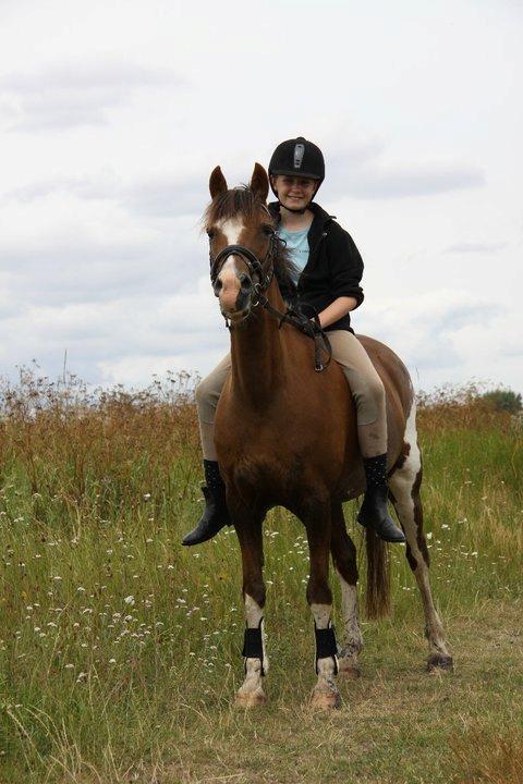 Hollandsk Sportspony Ainoa Van Uniken billede 12