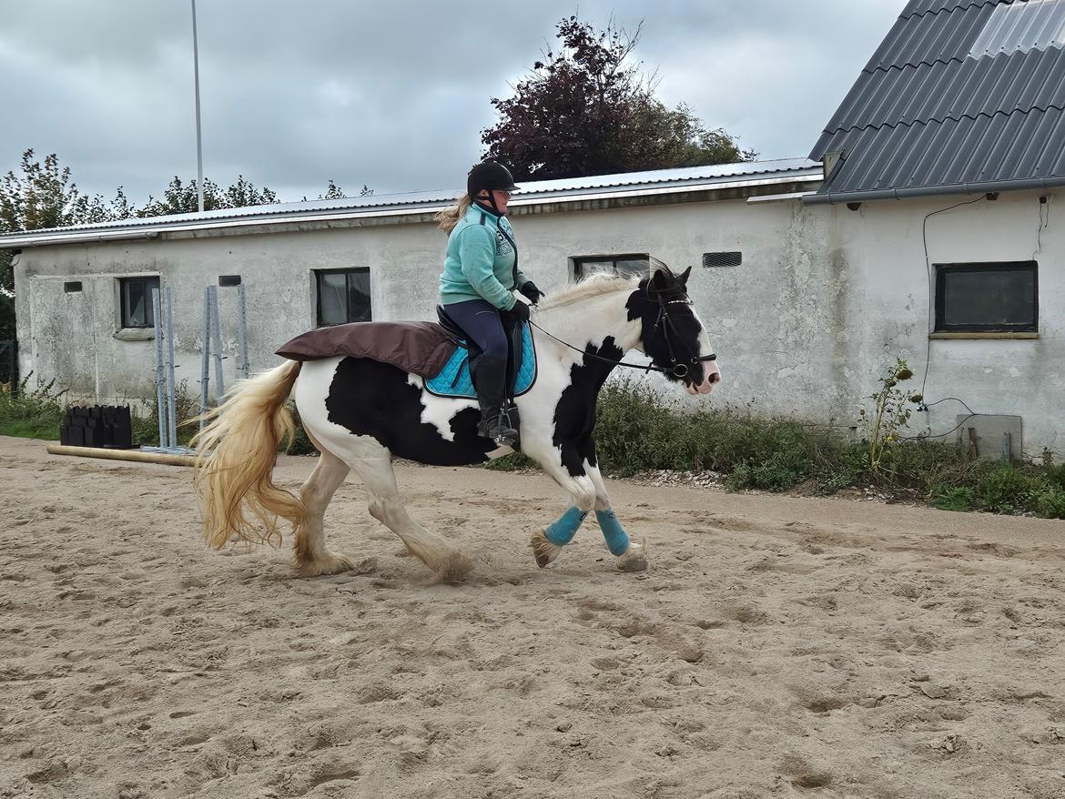 Tinker My Lucky Alana billede 49