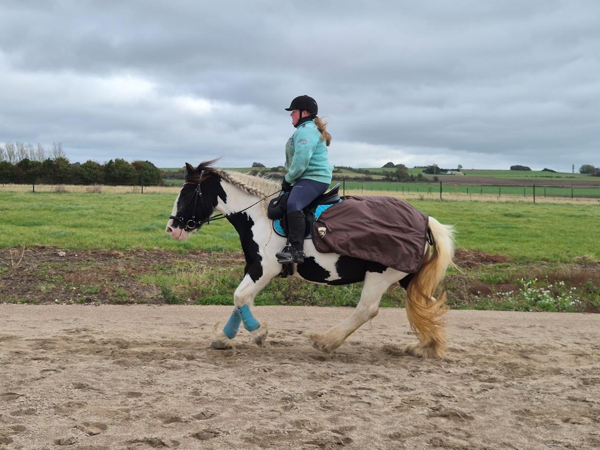 Tinker My Lucky Alana billede 47