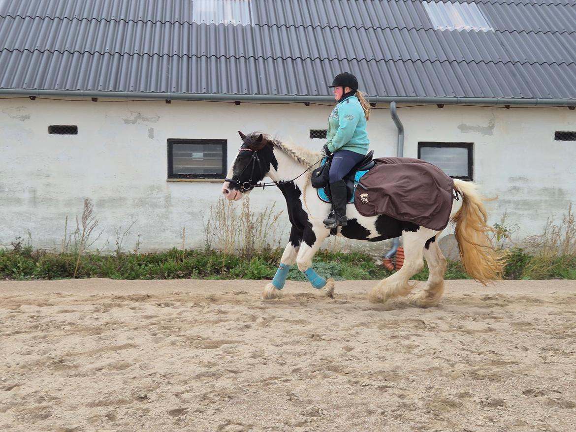 Tinker My Lucky Alana billede 48