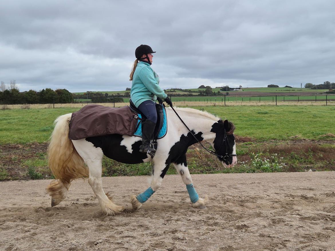 Tinker My Lucky Alana billede 46