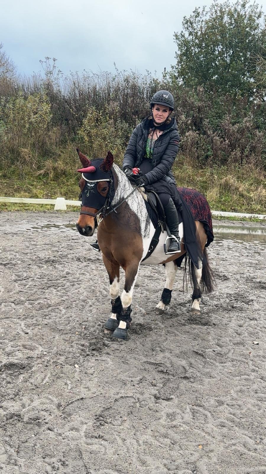 Anden særlig race Jolly billede 21