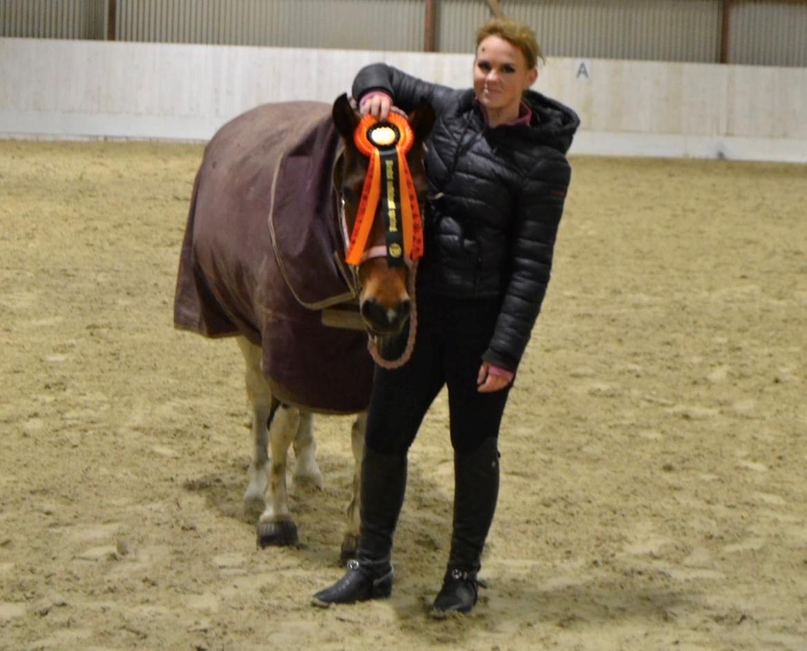 Anden særlig race Jolly billede 22