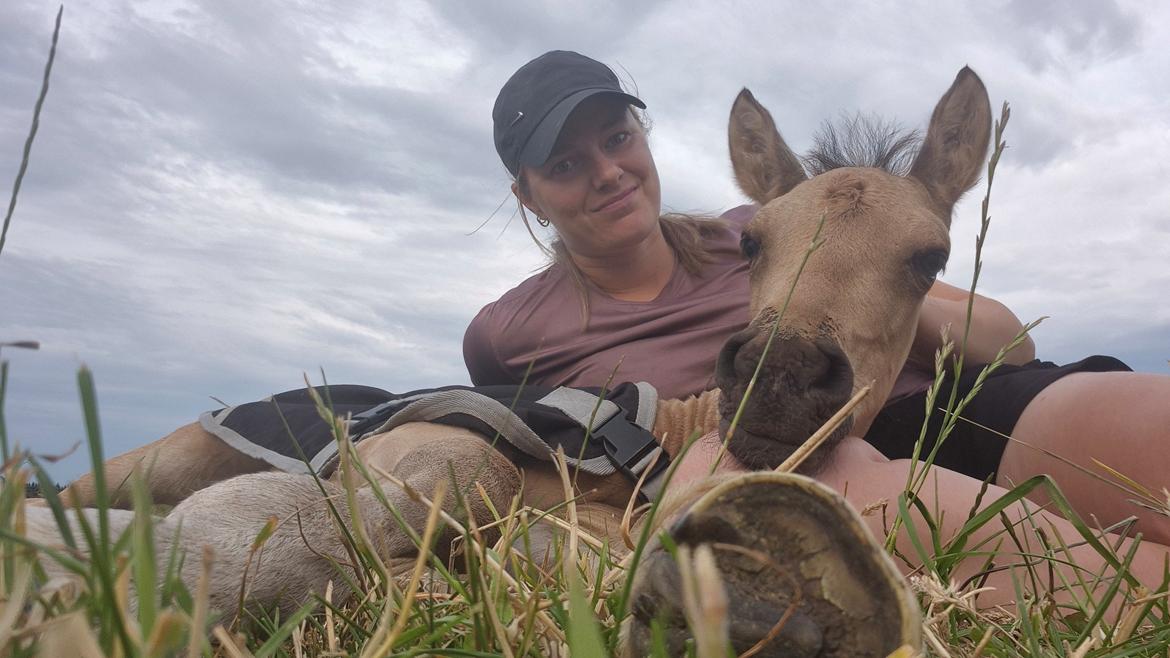 Pura Raza Española REY DE LUZ  billede 10
