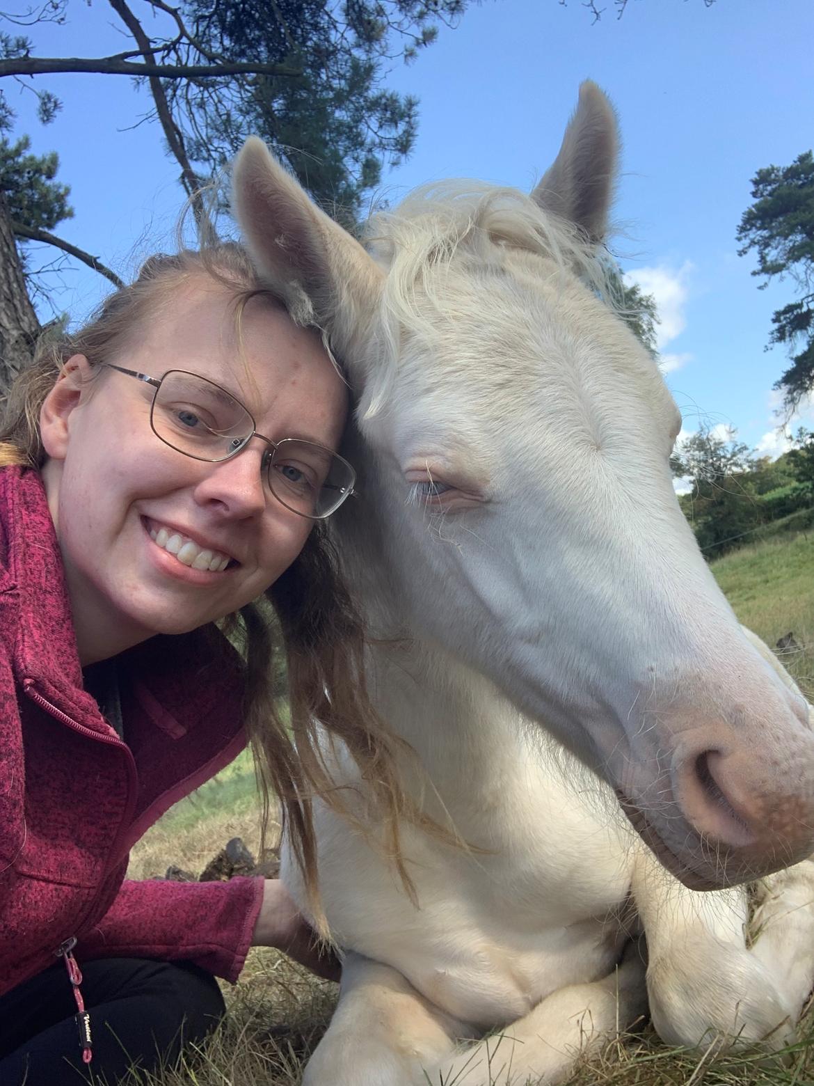 Welsh Partbred (Sec F) Tovdal’s Miss Ocean Pearl • Willow • billede 5