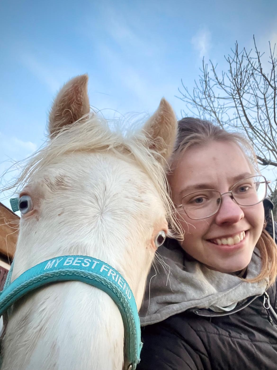 Welsh Partbred (Sec F) Tovdal’s Miss Ocean Pearl • Willow • billede 38