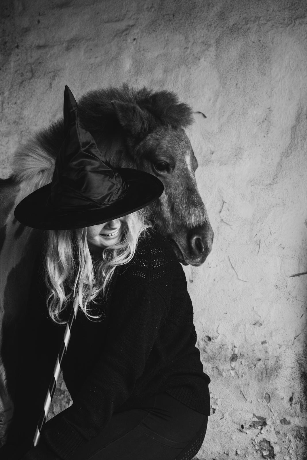 Shetlænder Mille billede 17