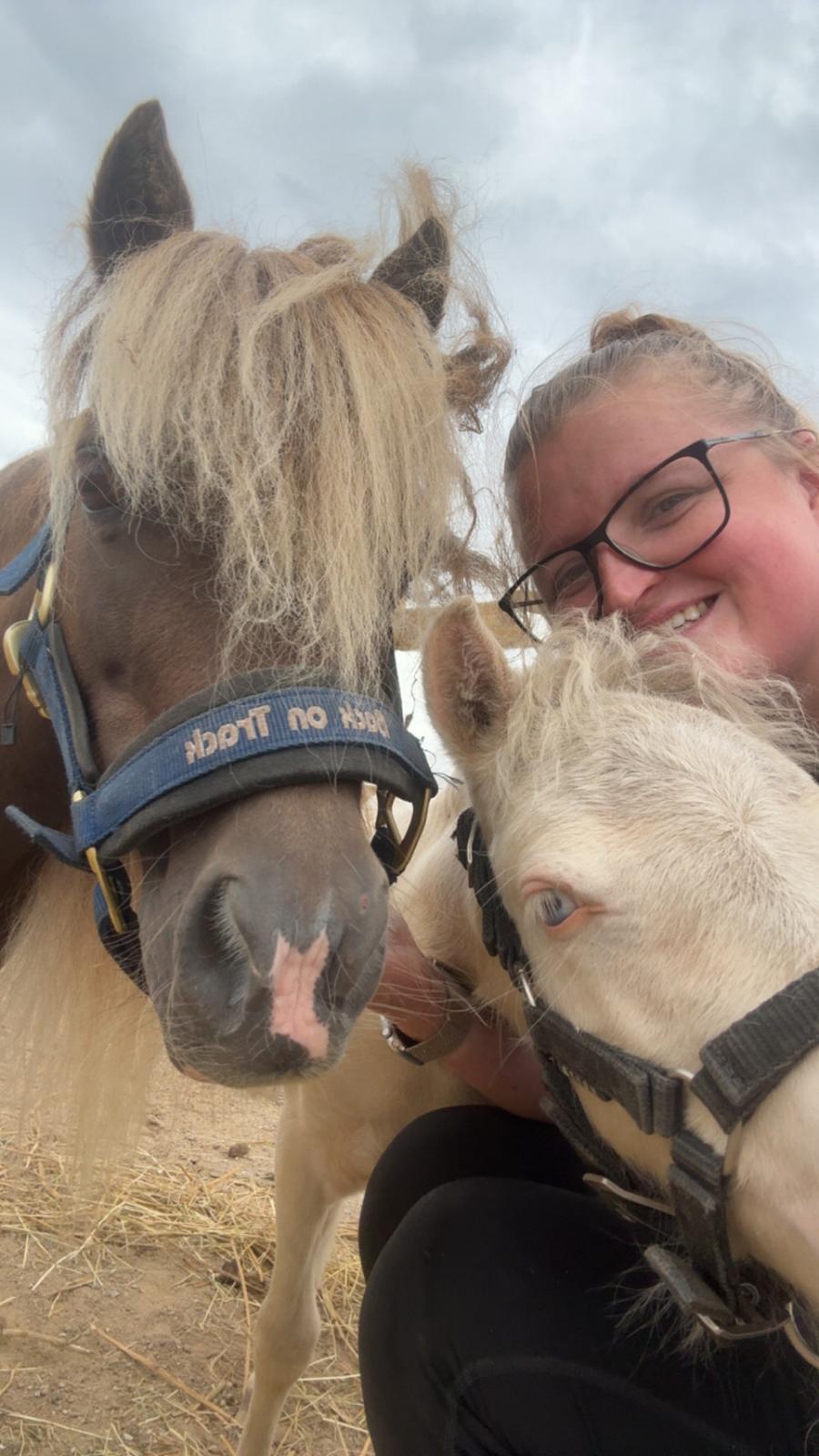 Amerikansk Miniature MHS ULTRA DENIQUE SHOWGIRL billede 18