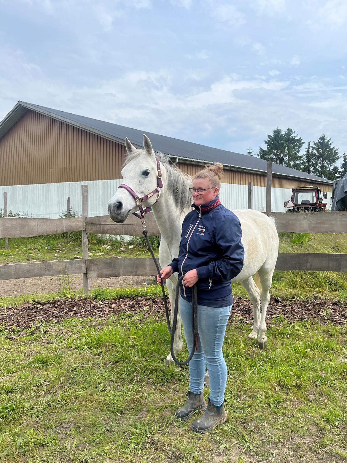 Arabisk fuldblod (OX) MAX MI AMIRA OX billede 18