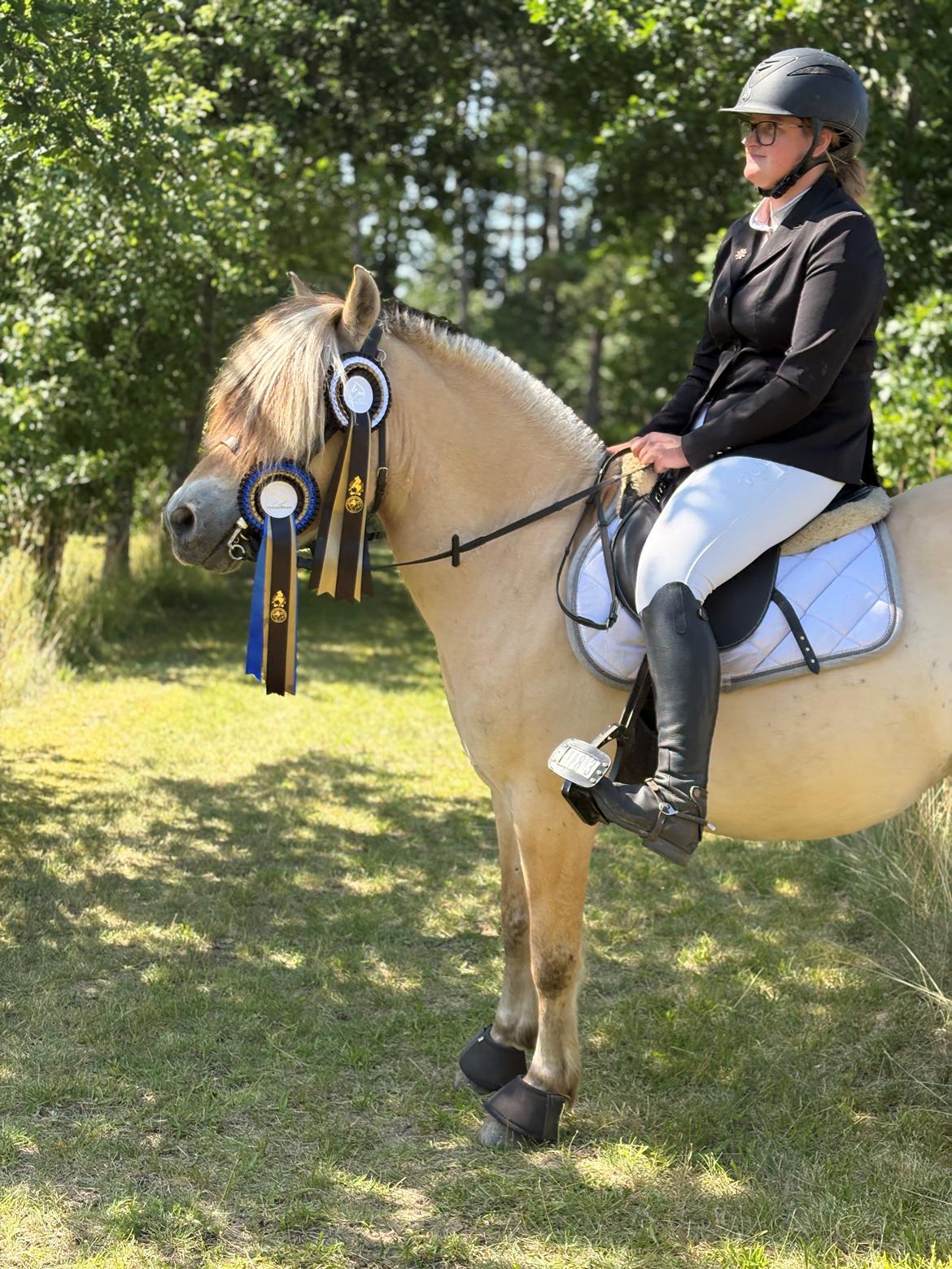 Anden særlig race SVEND billede 1