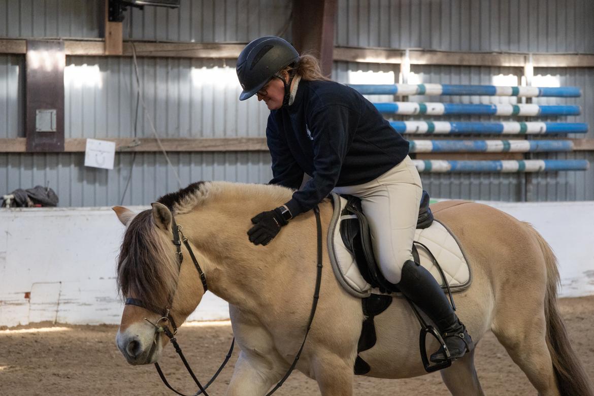 Anden særlig race SVEND billede 6