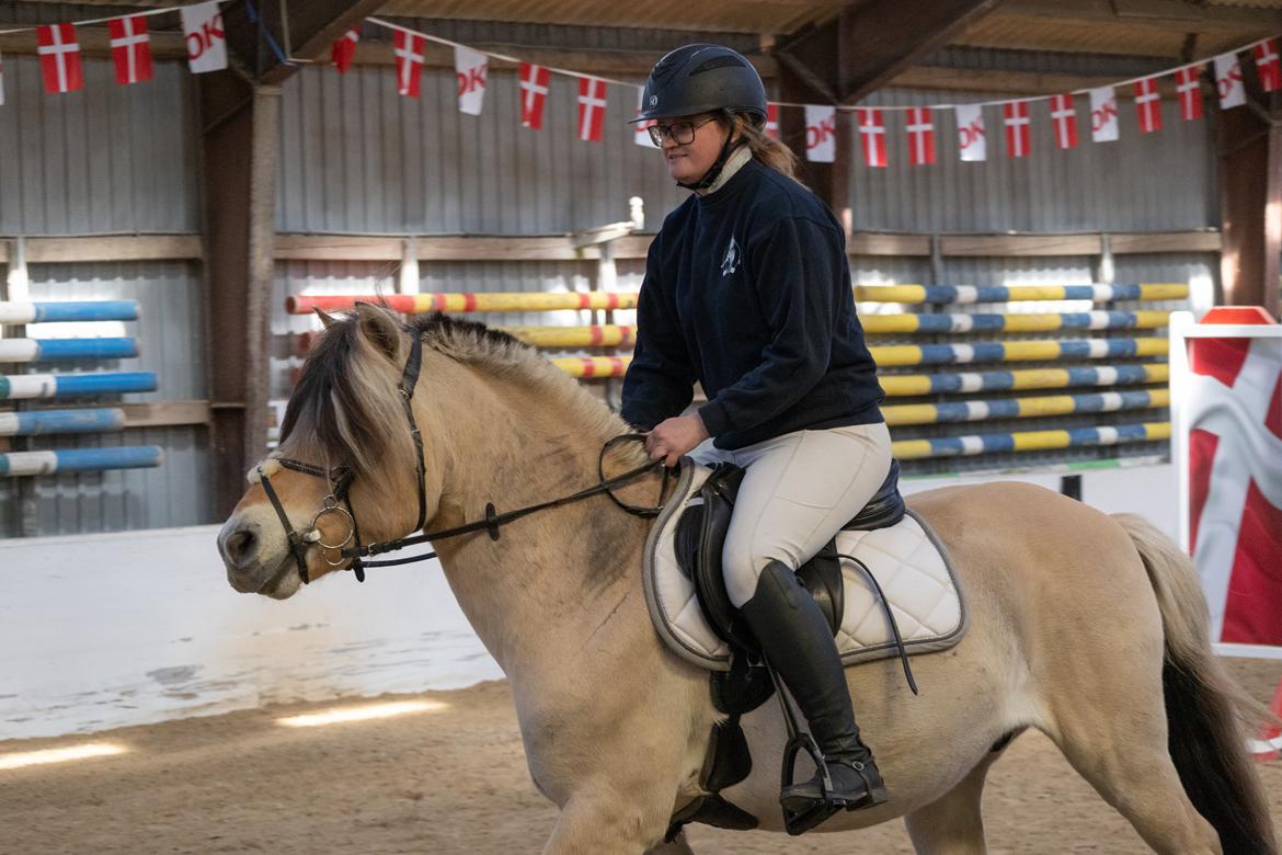 Anden særlig race SVEND billede 5