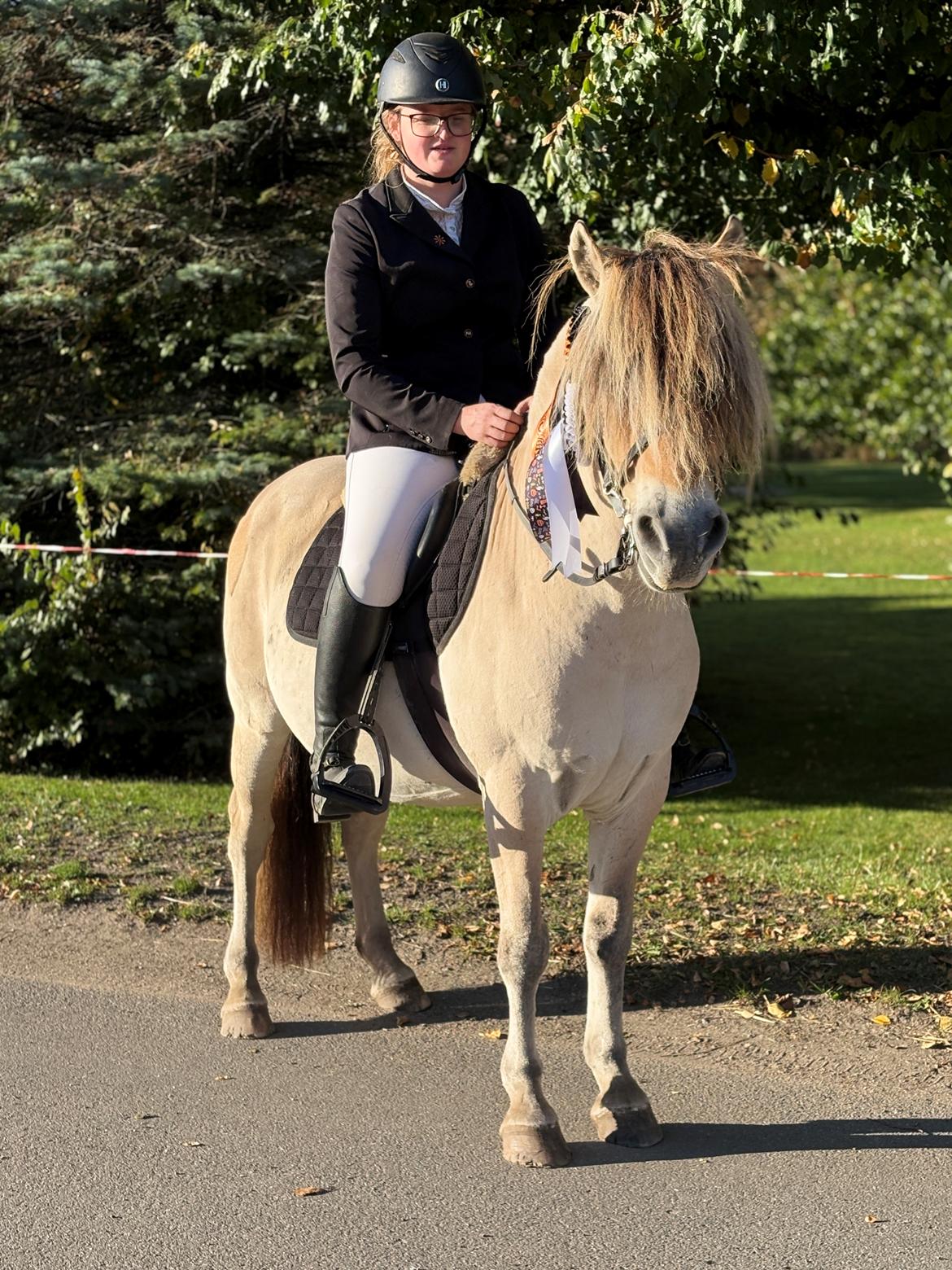 Anden særlig race SVEND billede 19