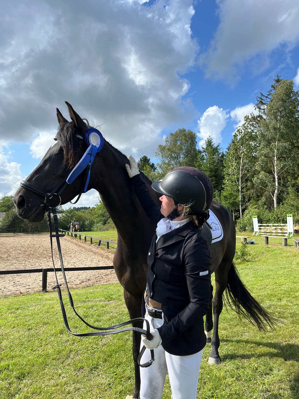 Dansk Varmblod Lady godiva billede 10