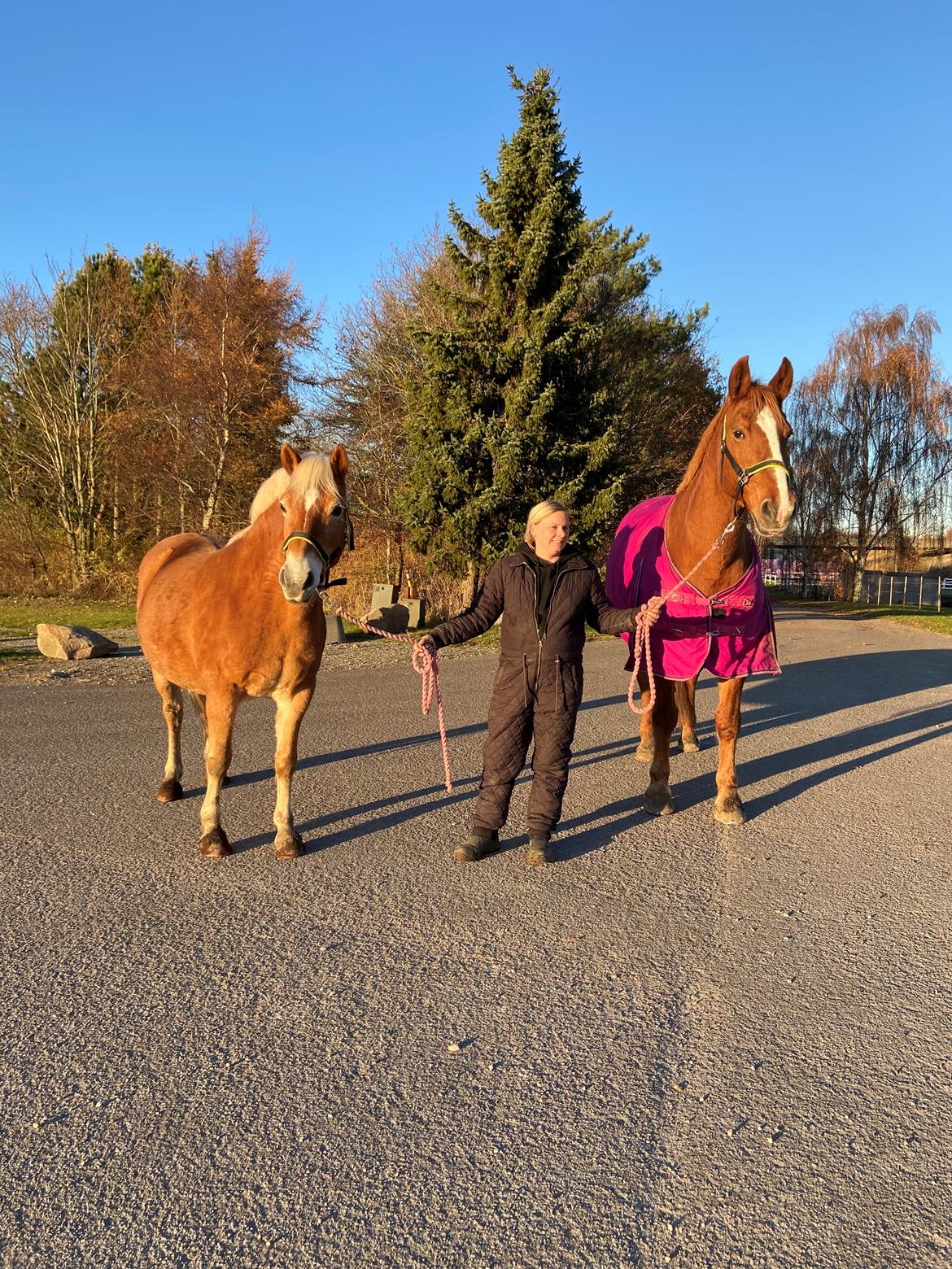 Frederiksborg Jucemi Bangholm billede 5
