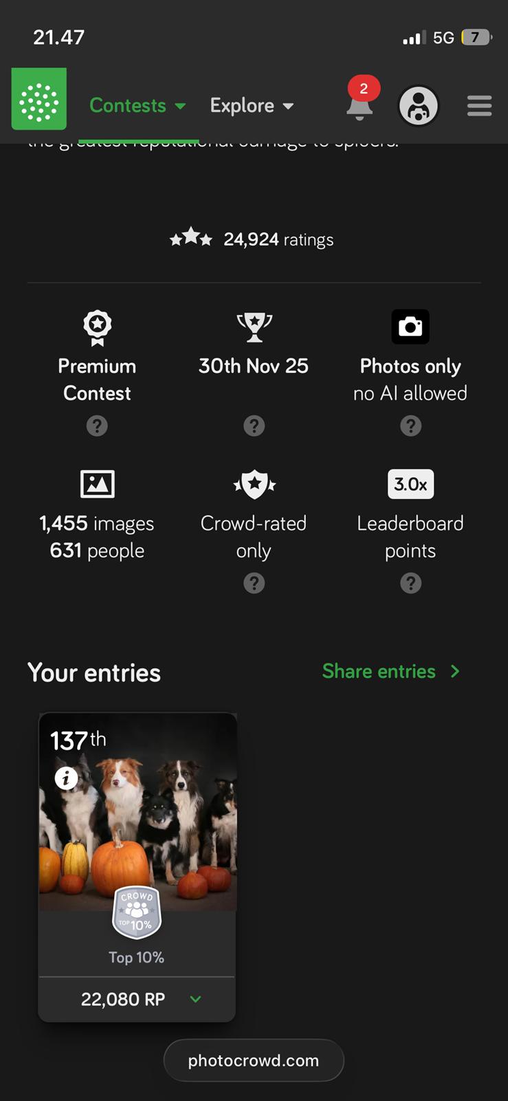 Welsh Partbred (Sec F) Tovdal’s Miss Ocean Pearl • Willow • billede 50