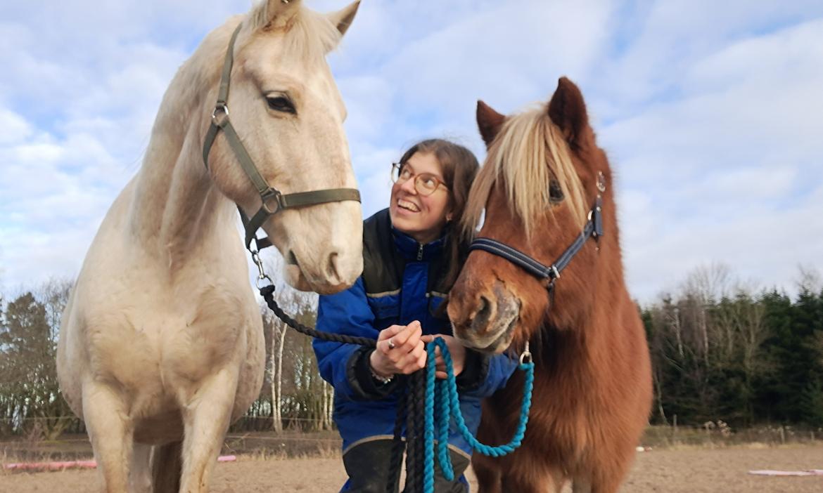 Islænder Syrpa fra Gyllingnæs billede 30