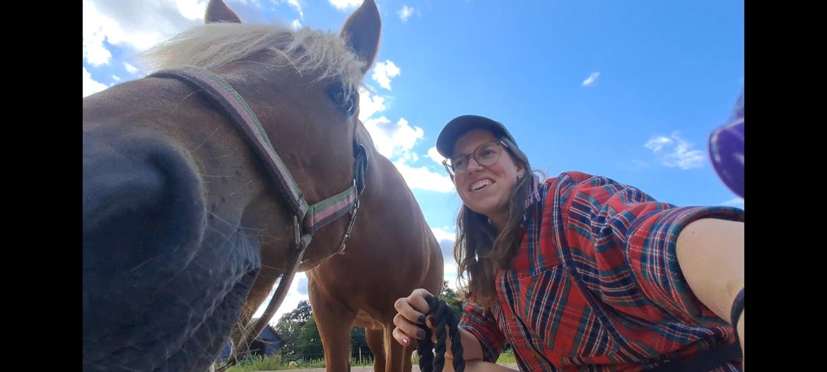 Islænder Syrpa fra Gyllingnæs billede 32