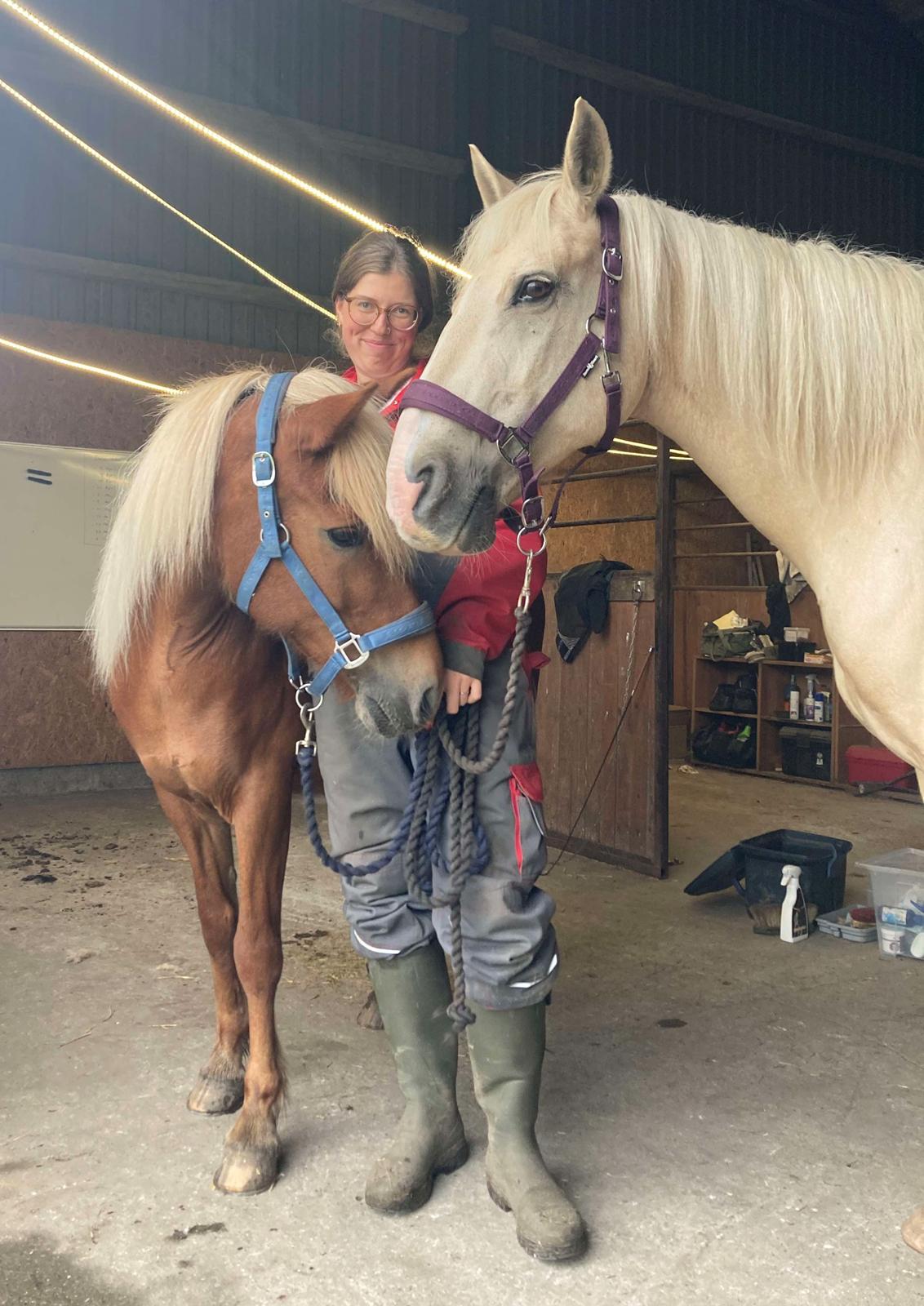 Islænder Syrpa fra Gyllingnæs - 13 årsdag med Syrpa 1. August 2025 <3 billede 36