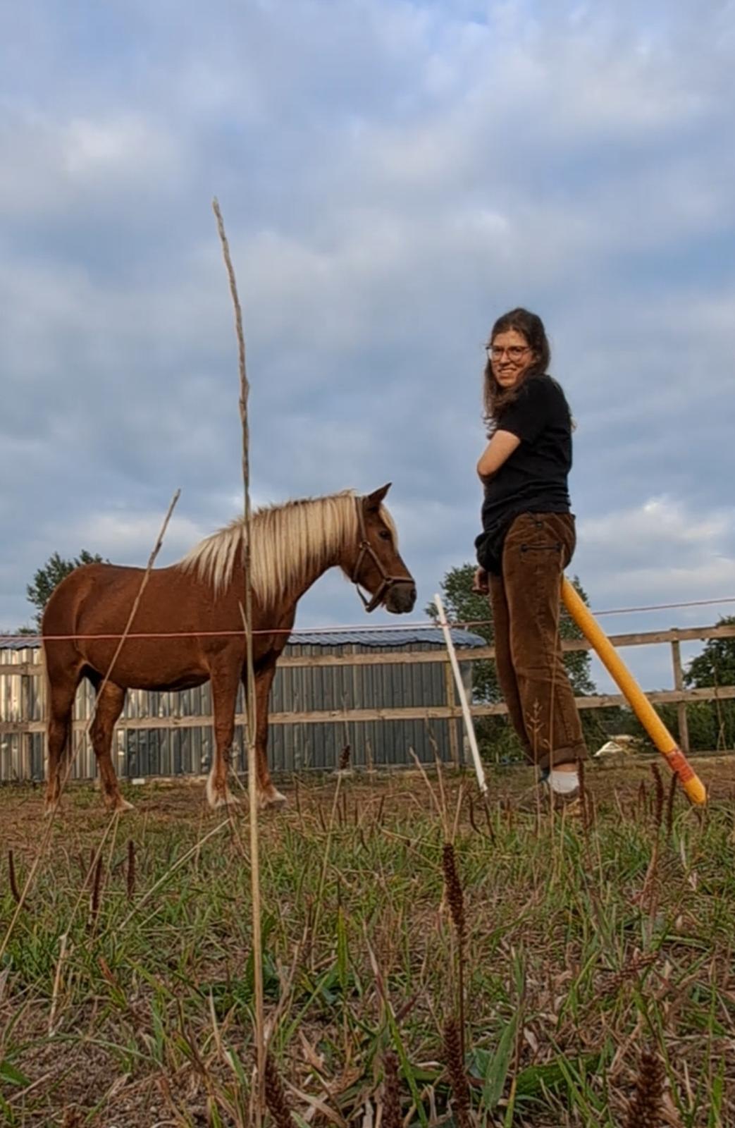 Islænder Syrpa fra Gyllingnæs billede 34