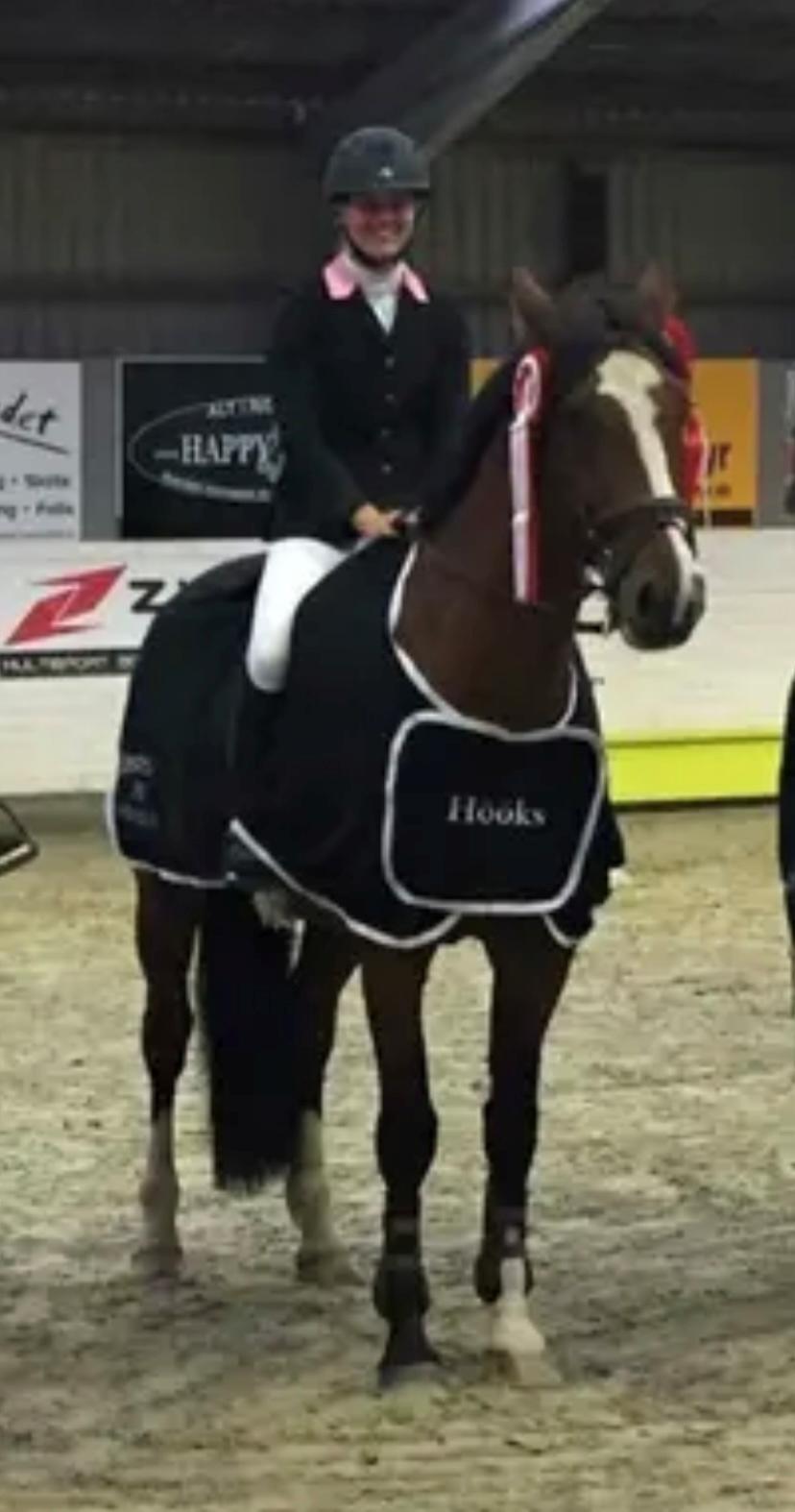 Dansk Varmblod BIRKELY'S APOLOGIZE (POLLE) billede 4