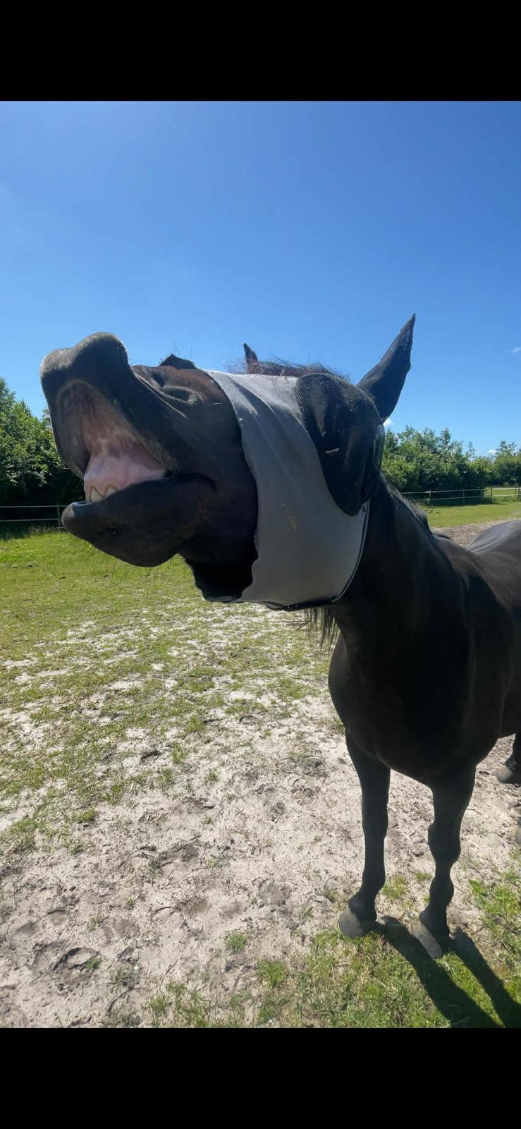 Oldenborg Kleenex billede 1