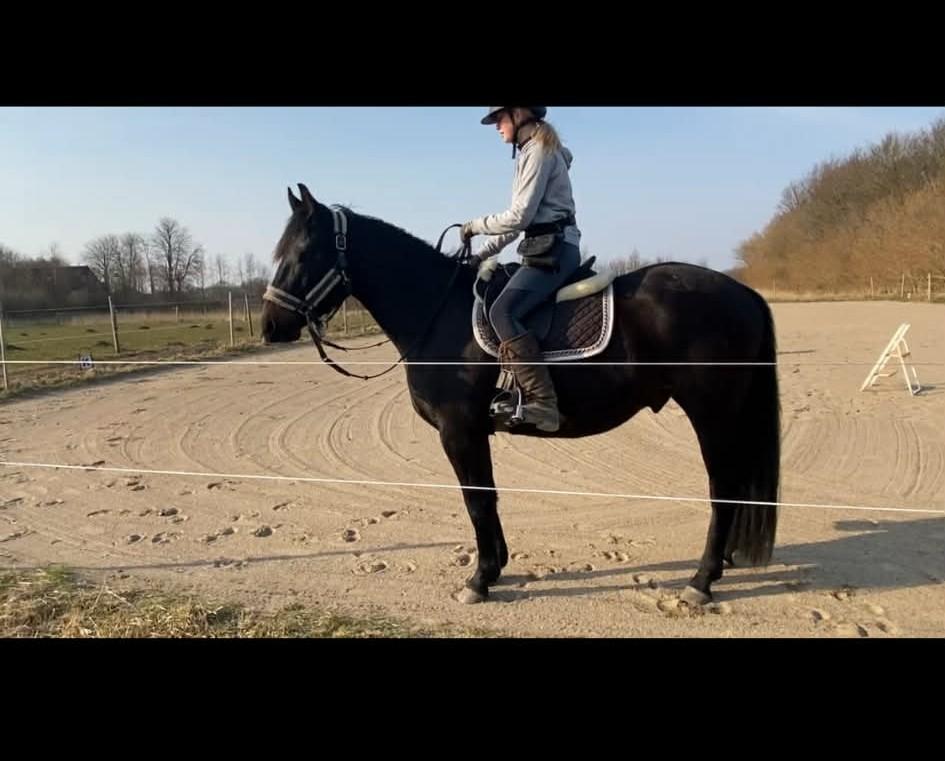 Anden særlig race Kleenex billede 6