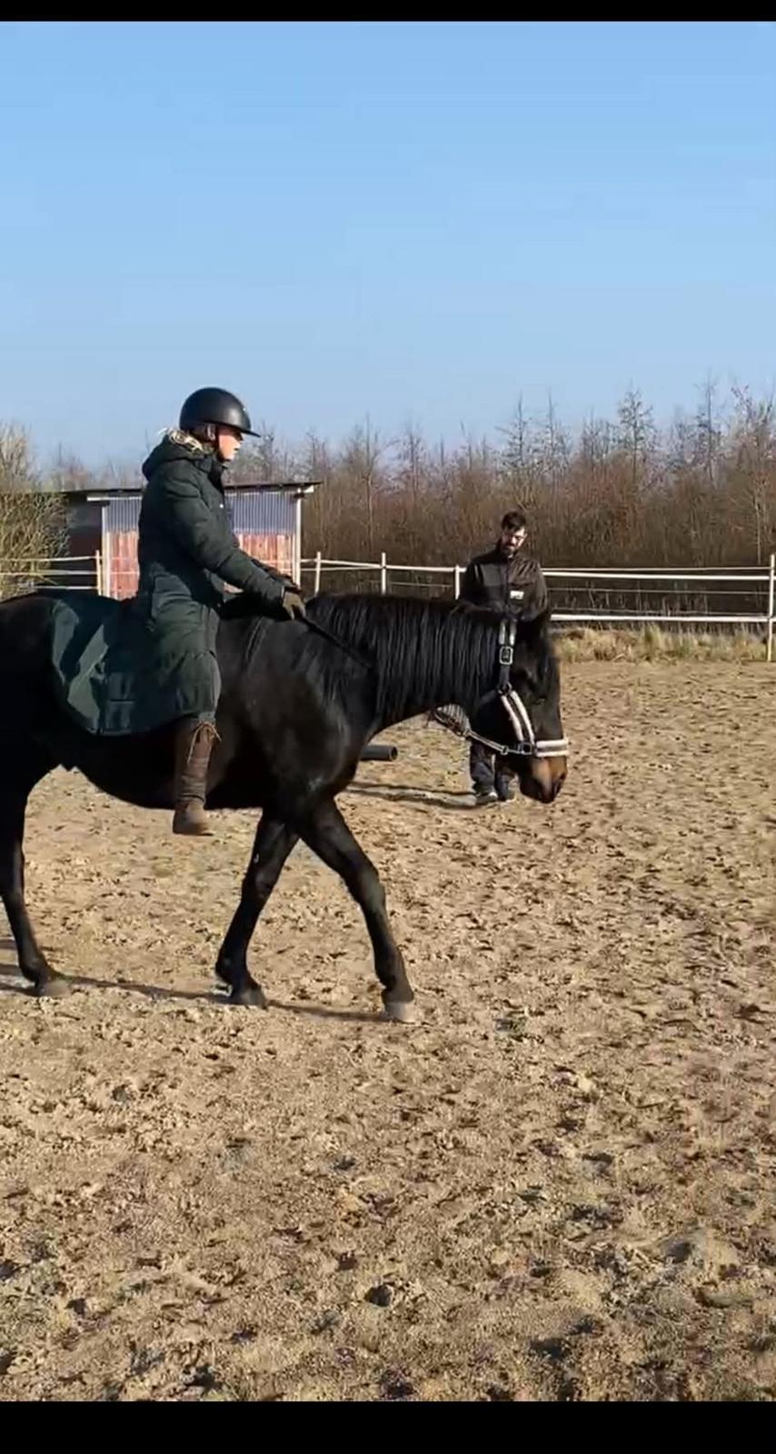 Oldenborg Kleenex billede 8