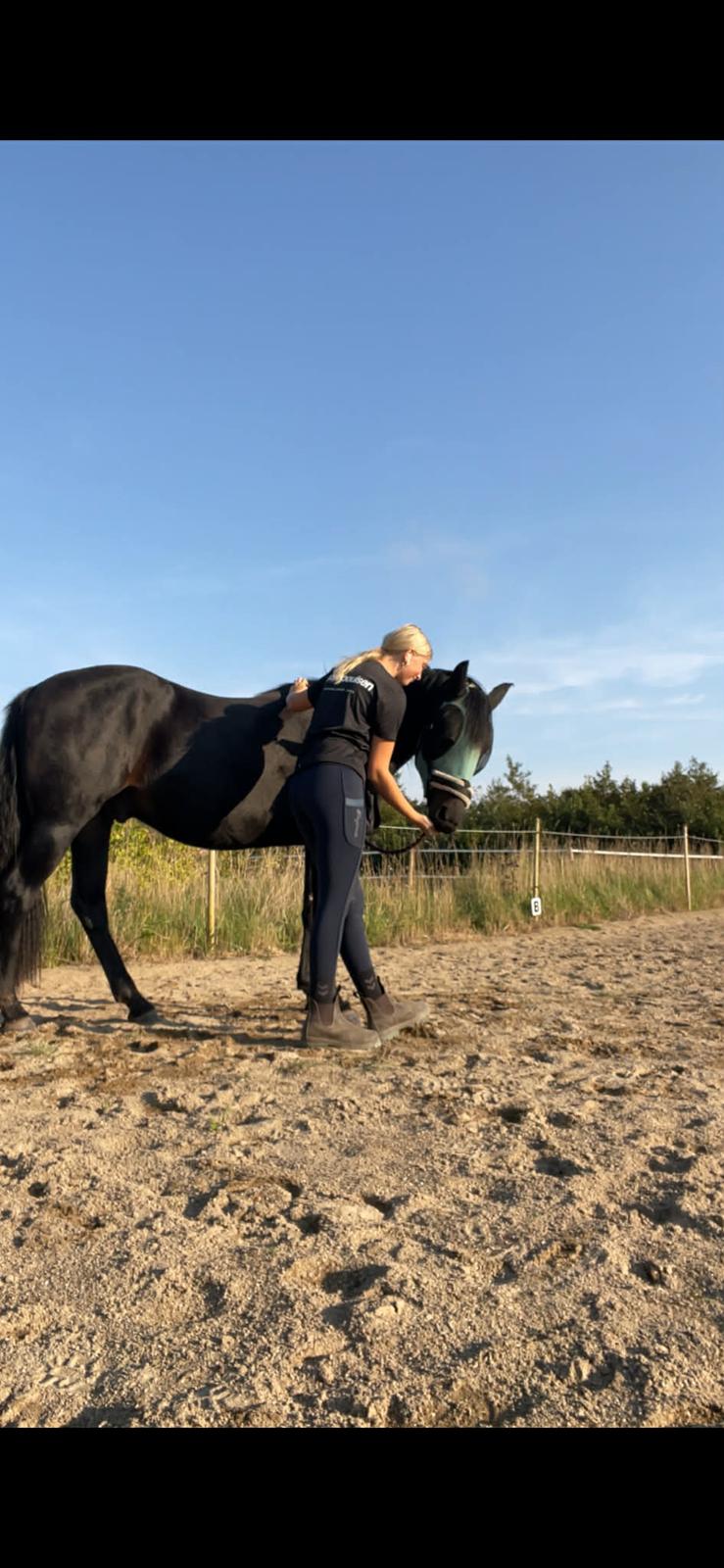 Oldenborg Kleenex billede 9