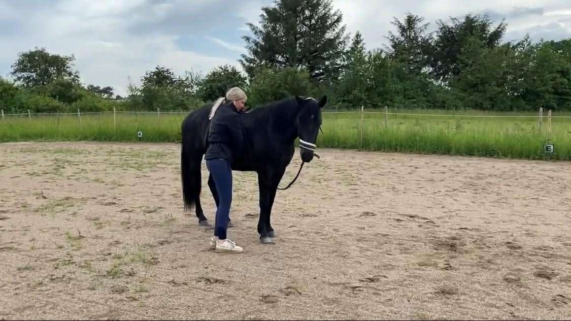 Anden særlig race Kleenex billede 11