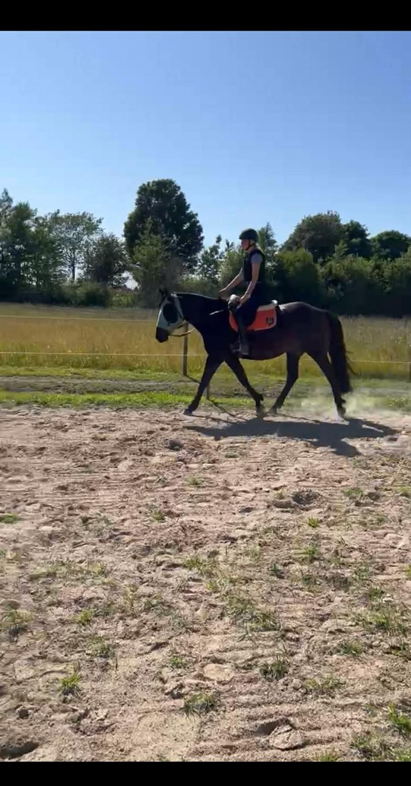 Oldenborg Kleenex billede 19