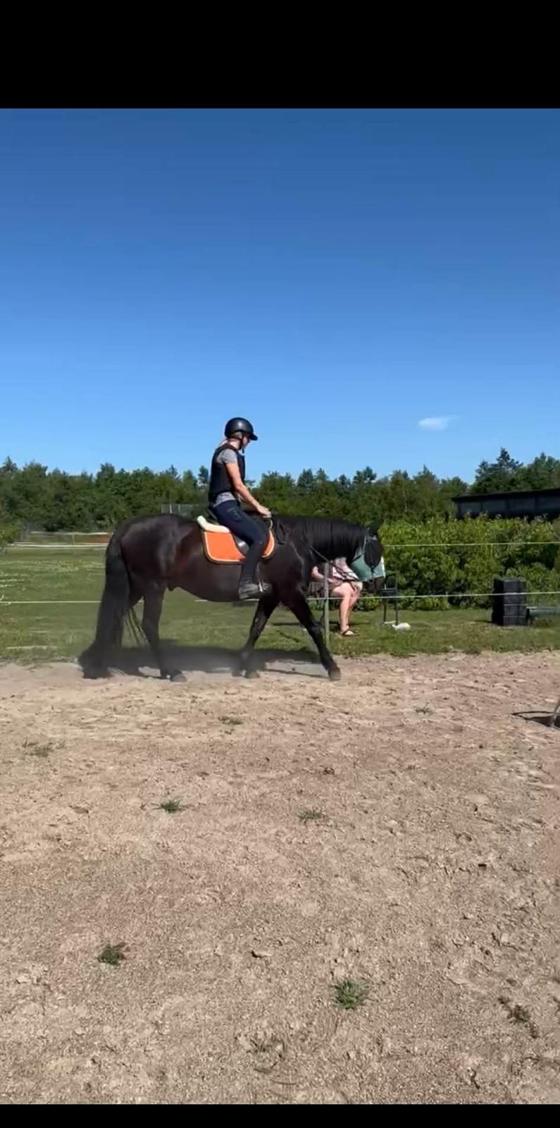 Anden særlig race Kleenex billede 13
