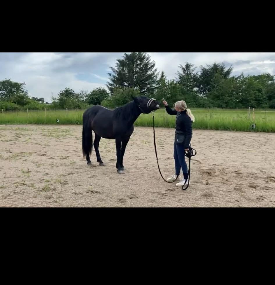 Oldenborg Kleenex billede 14