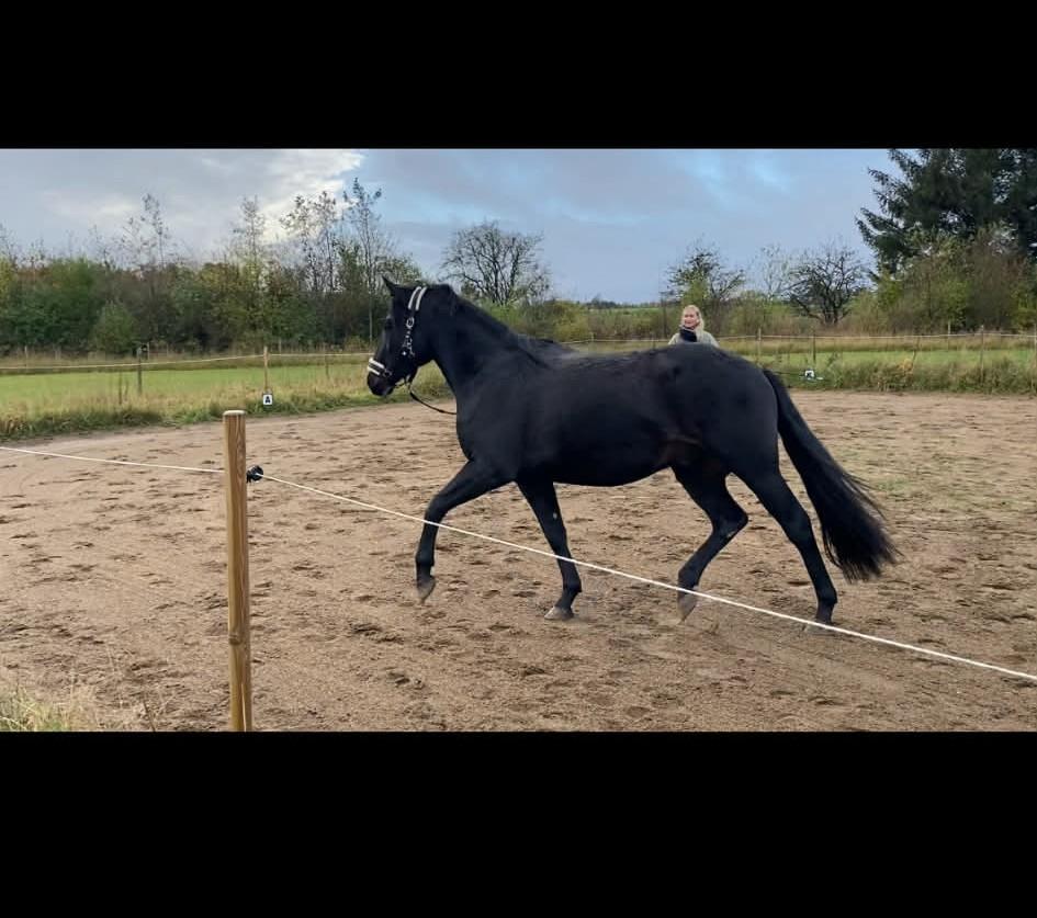 Oldenborg Kleenex billede 15