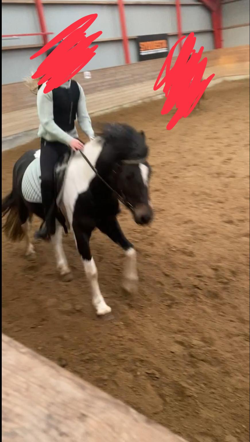 Tinker Tinka - Første gallop🤩 billede 3