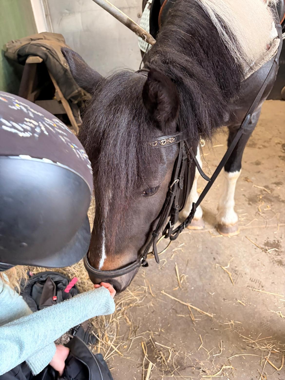 Tinker Tinka billede 5