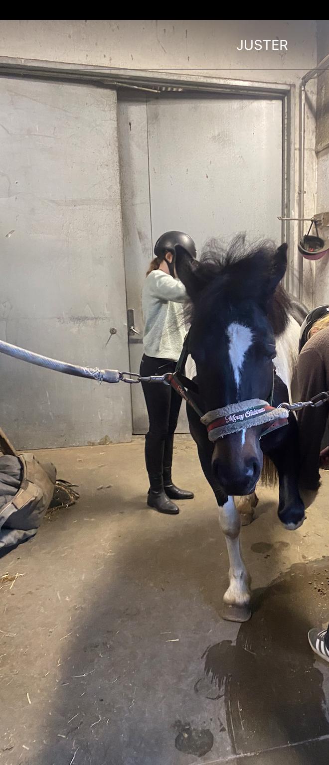 Tinker Tinka - Hygge efter ride time! billede 2