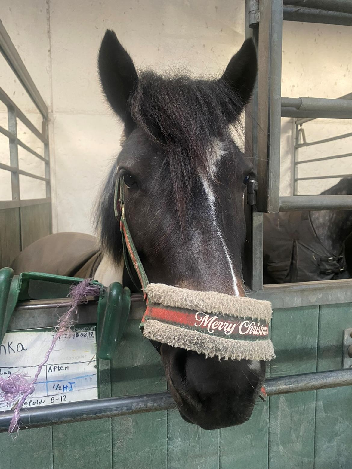 Tinker Tinka billede 9