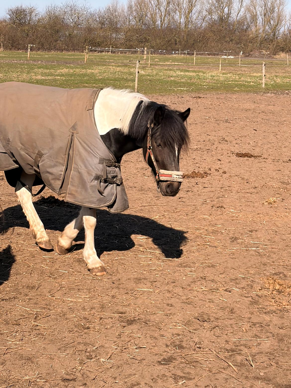 Tinker Tinka - Fold tid!😝 billede 8