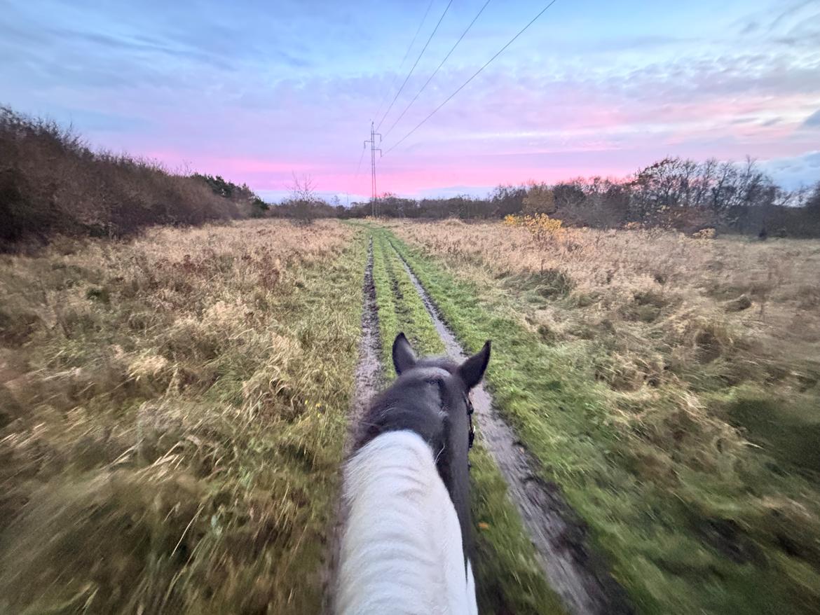 Tinker Tinka billede 3