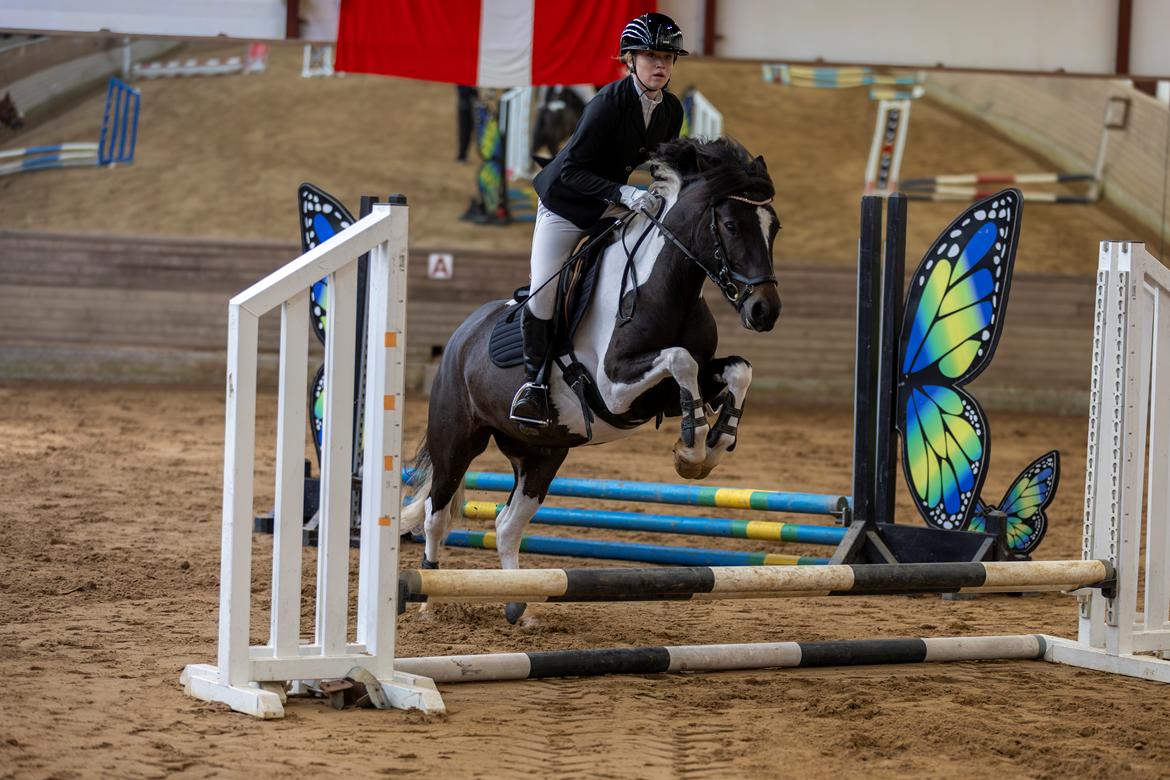 Tinker Tinka billede 5