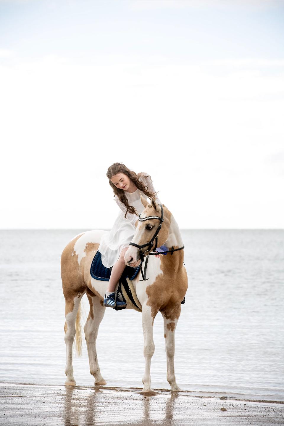 Hollandsk Sportspony SweetHeart billede 20