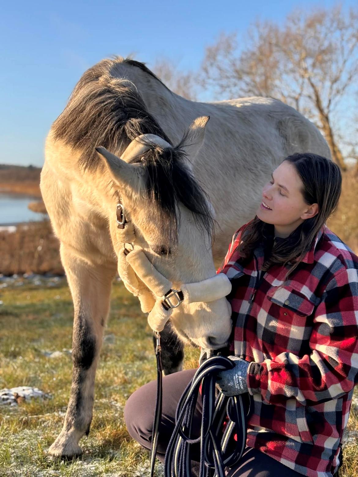 Furioso Lélek  billede 2