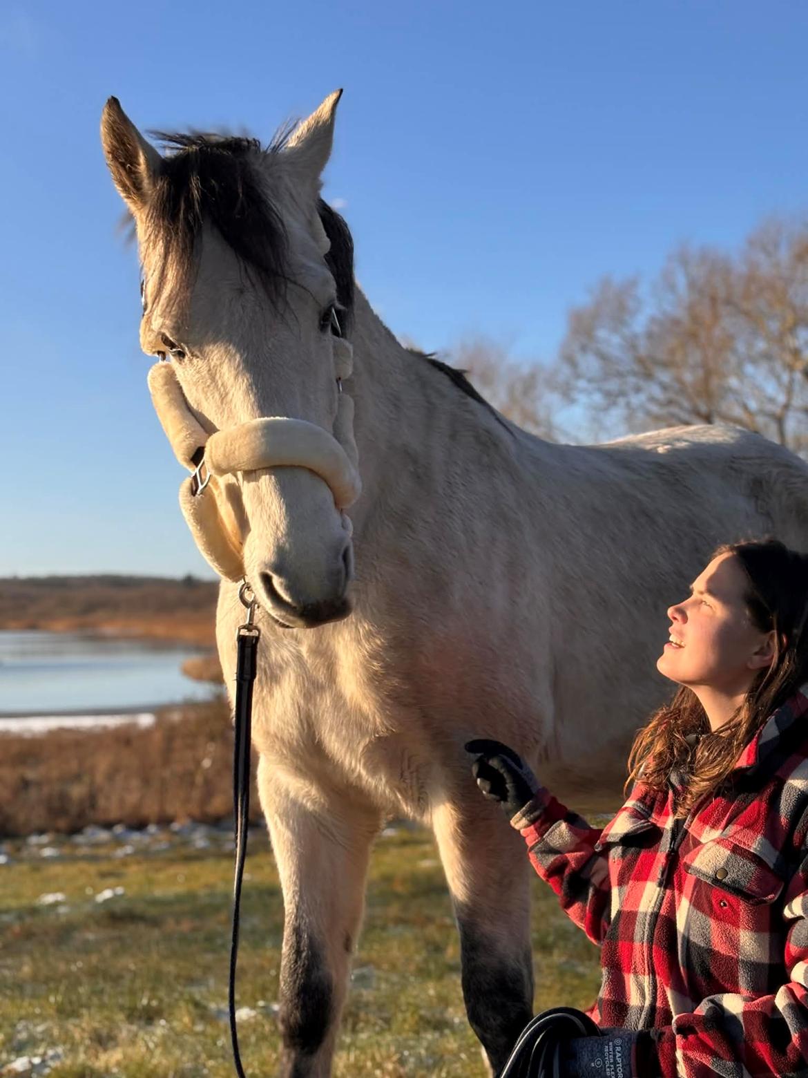 Furioso Lélek  billede 1