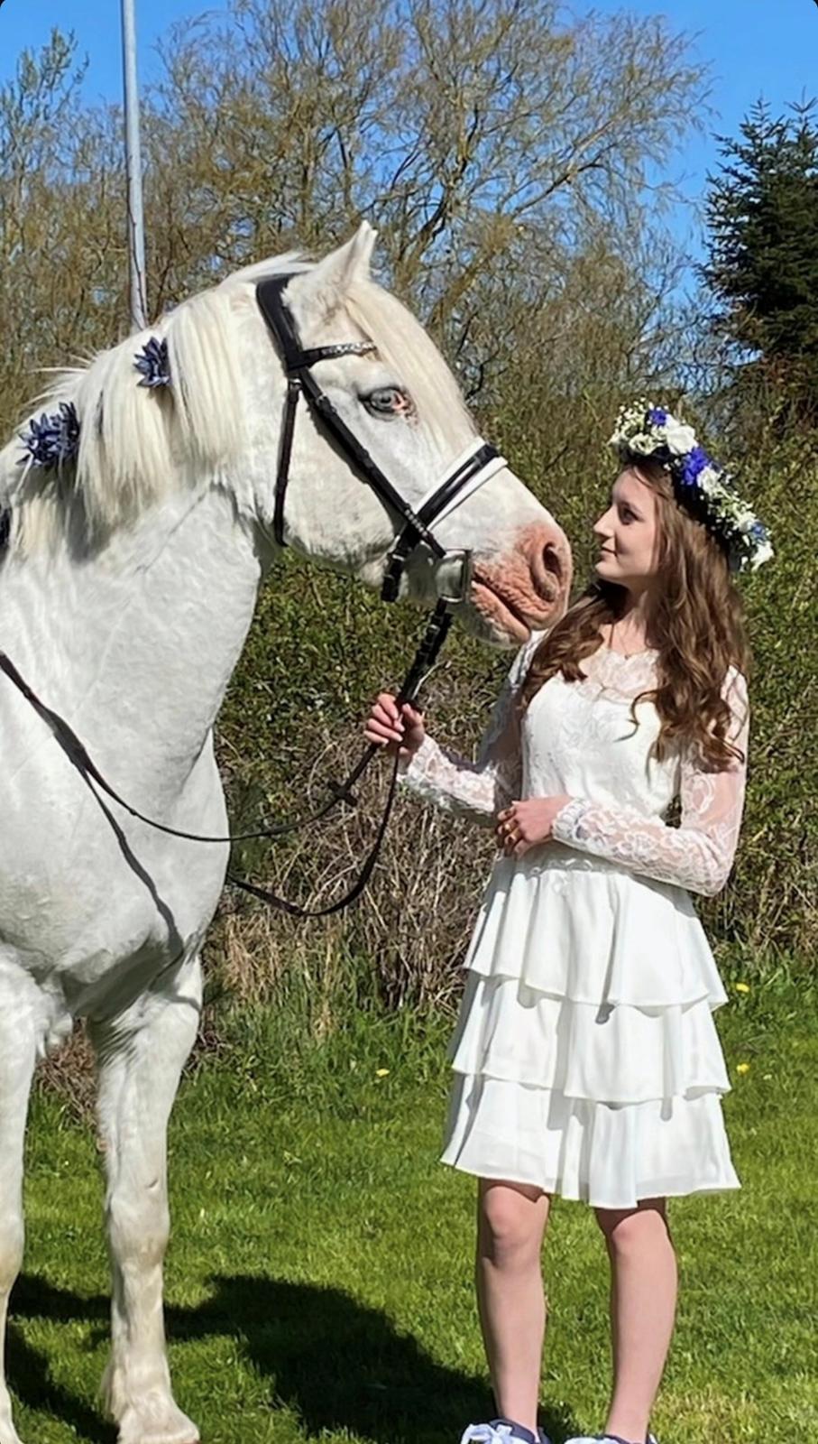 Anden særlig race Snowball  billede 28