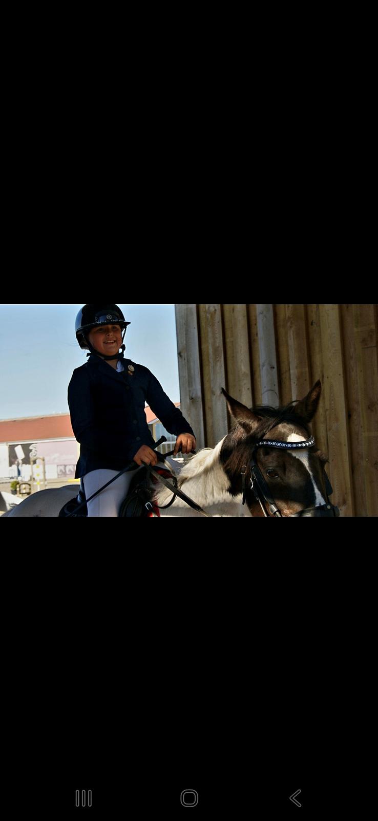 Irsk Sportspony Mohawk indian billede 17