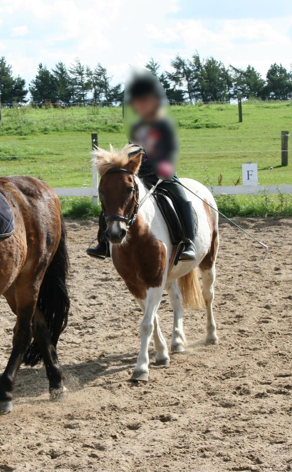 Anden særlig race - † Matros/Wingo † R.I.P billede 32